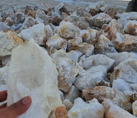 f194fe4b-47a4-4625-9287-72cf2a43de31